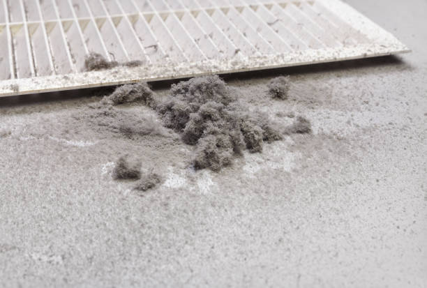 Best General Air Duct Cleaning  in Buffalo, SC